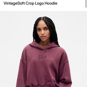 GAP Burgundy Cozy Hoodie